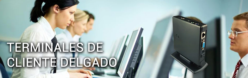 Terminales de Cliente Delgado